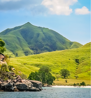 77. [OP] Komodo Island jpg 1