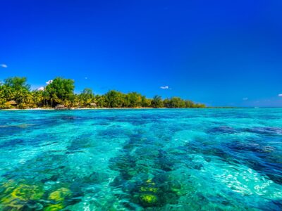 A,Serene,Tropical,Beach,In,Bora,Bora,,French,Polynesia