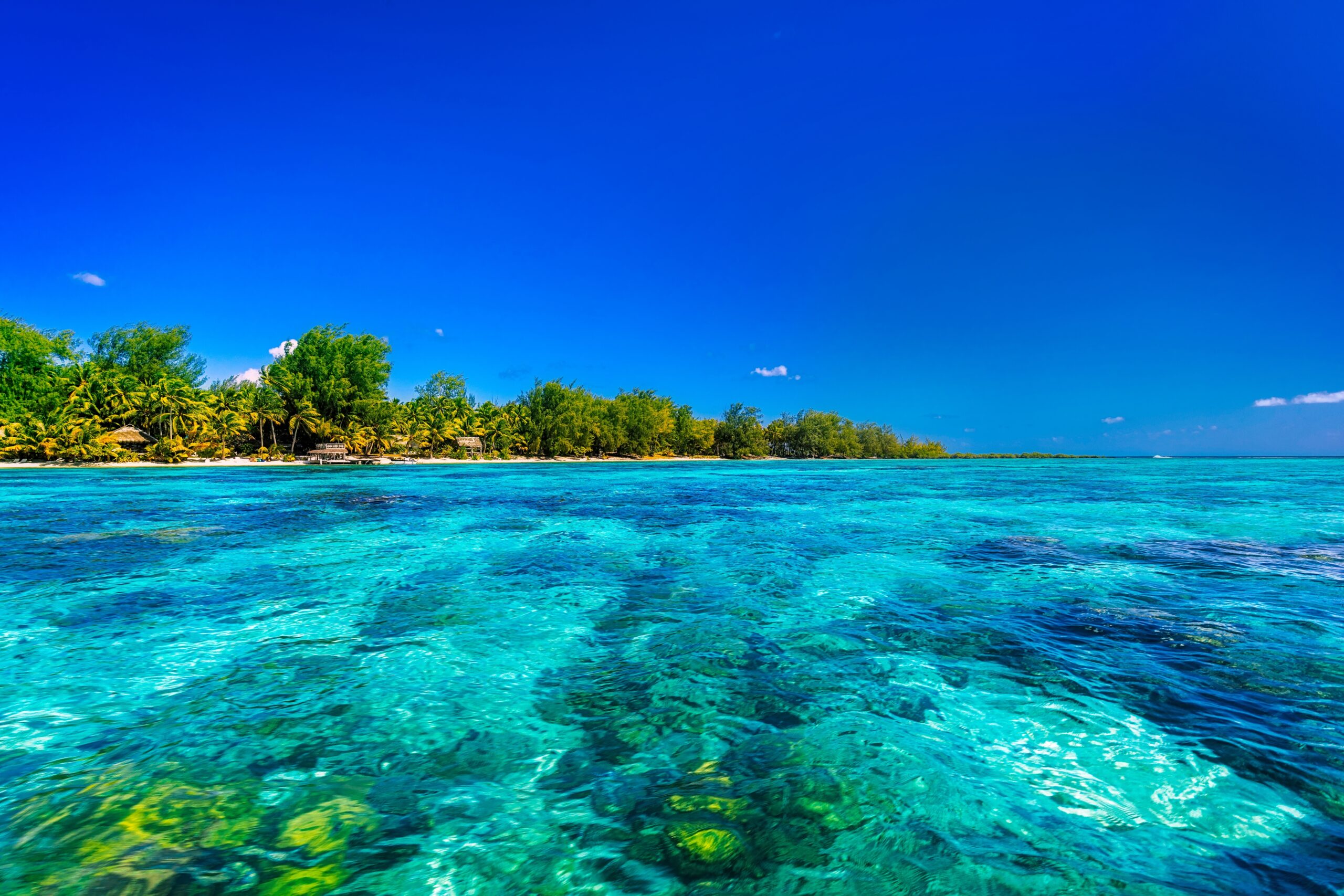 A,Serene,Tropical,Beach,In,Bora,Bora,,French,Polynesia