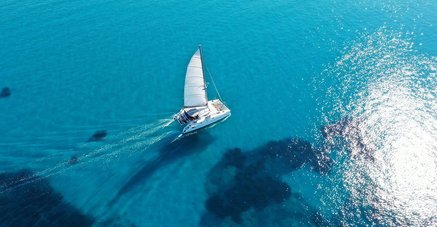 Cat on sail 1