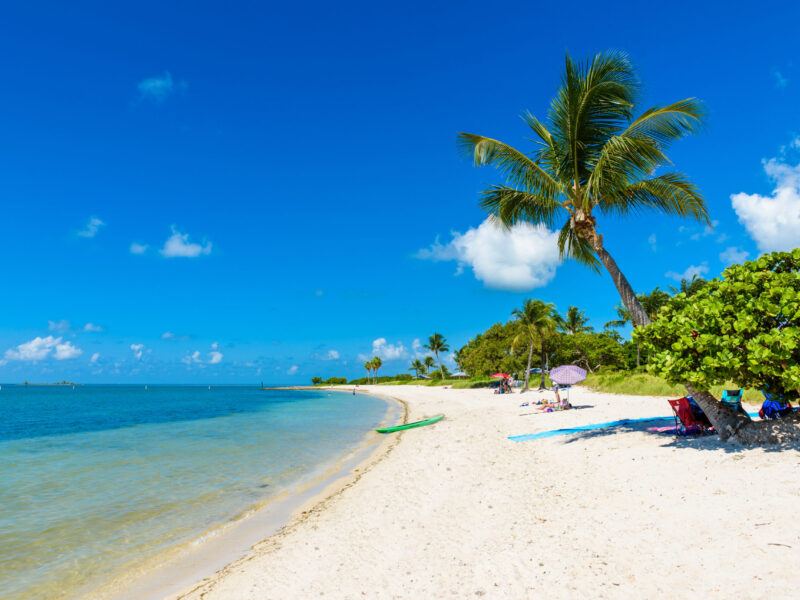 Sombrero,Beach,With,Palm,Trees,On,The,Florida,Keys,,Marathon,