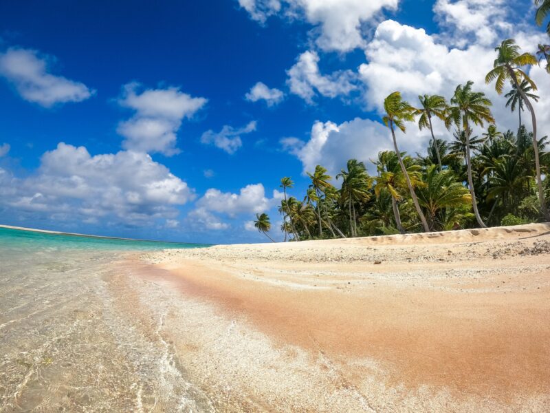 A,Stunning,Motu,On,Tikehau,Atoll,,French,Polynesia,,Featuring,Lush