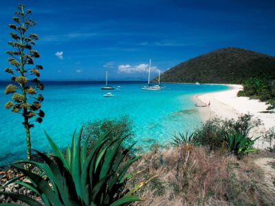 Caribbean,-,British,Virgin,Islands,-,Jost,Van,Dyke,Island