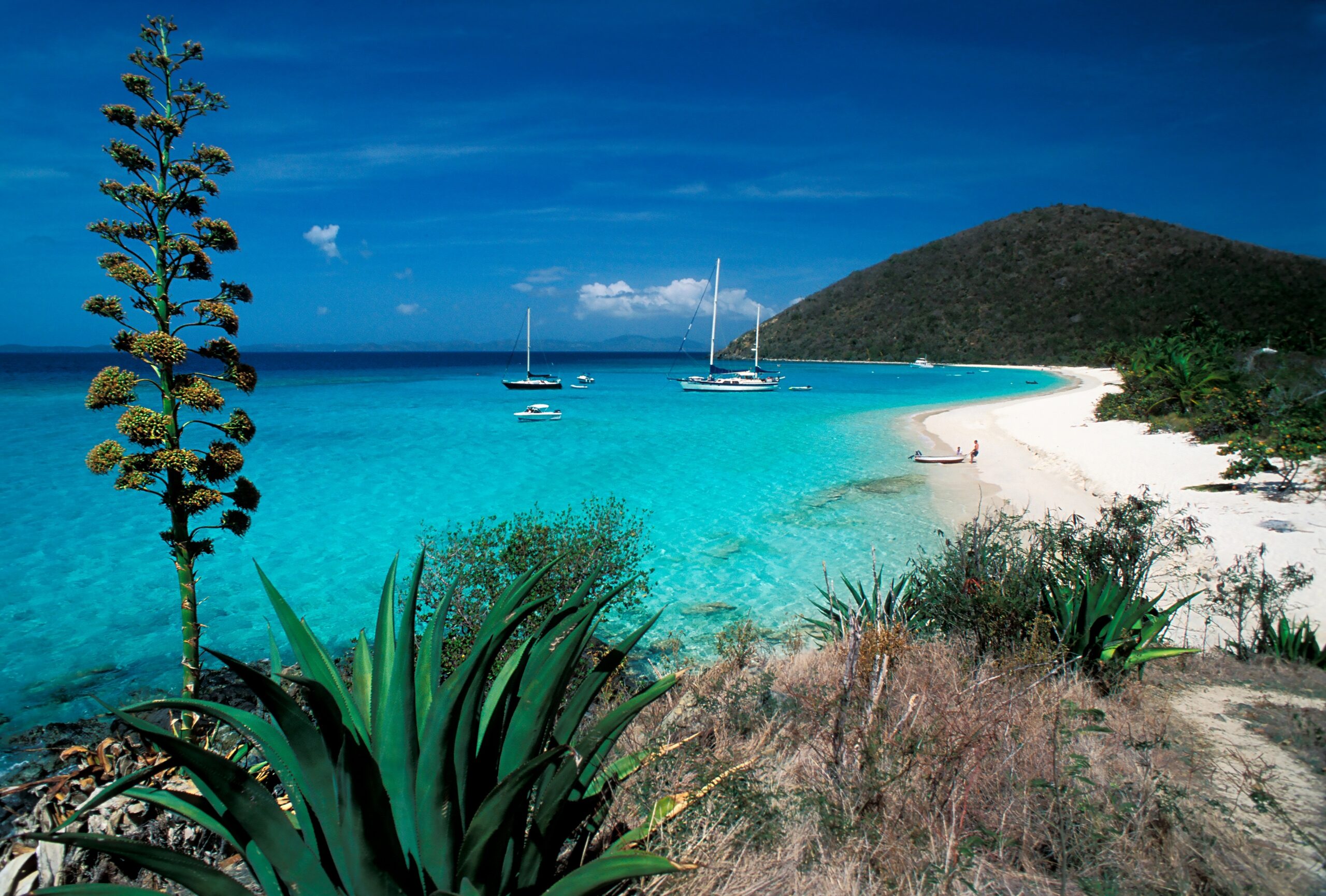 Caribbean,-,British,Virgin,Islands,-,Jost,Van,Dyke,Island