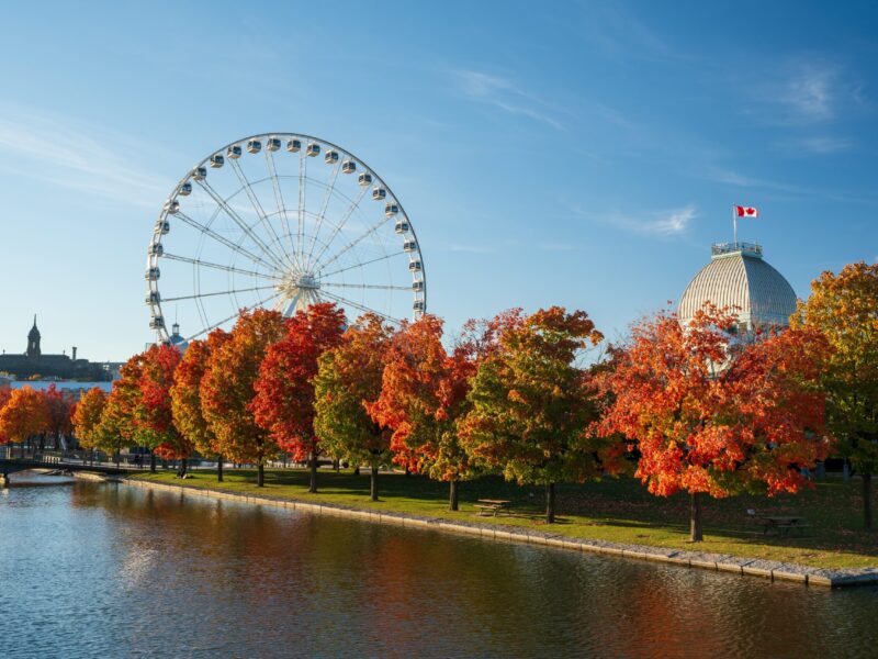 Old,Port,Of,Montreal,In,Autumn.,Red,Maples,And,Old