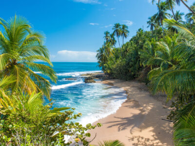 Wild,Caribbean,Beach,Of,Manzanillo,At,Puerto,Viejo,,Costa,Rica