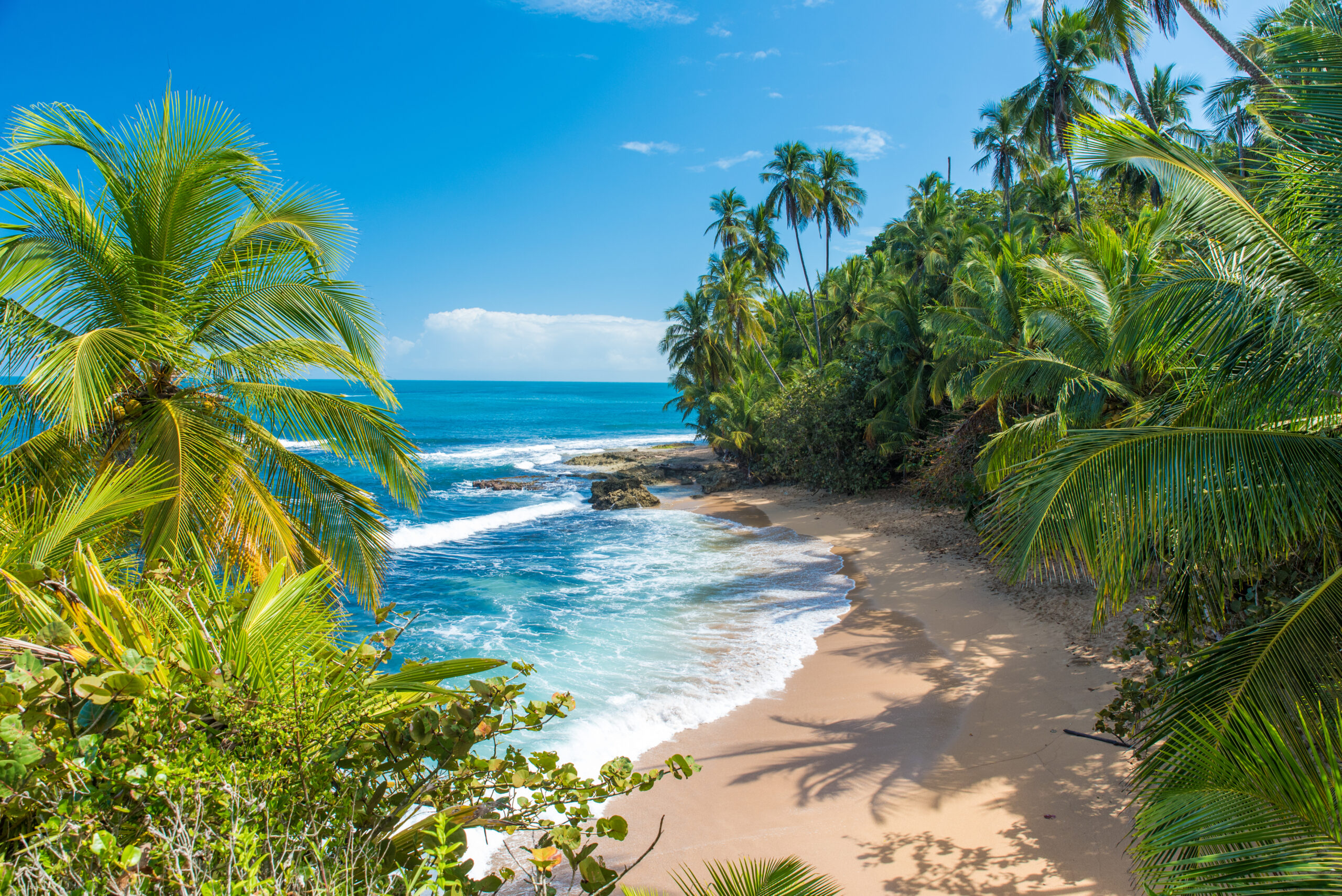 Wild,Caribbean,Beach,Of,Manzanillo,At,Puerto,Viejo,,Costa,Rica