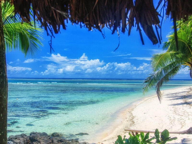 South,Pacific,,Fiji,,Taveuni,,Foliage,Hangs,Over,A,Deserted,Beach