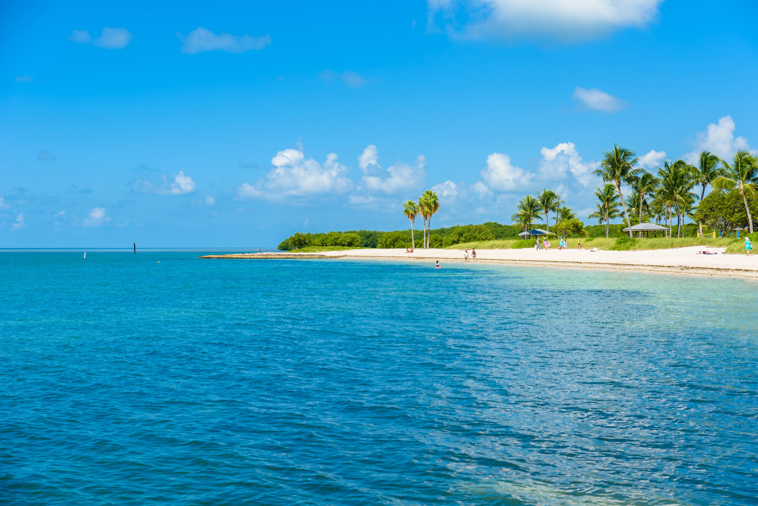Sombrero,Beach,With,Palm,Trees,On,The,Florida,Keys,,Marathon,