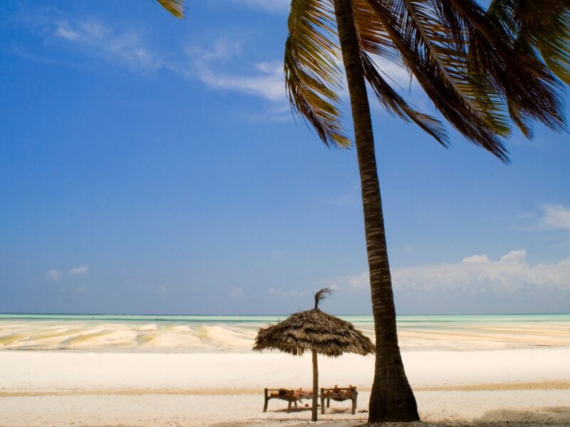 Palm,Trees,And,Thatched,Umbrellas,On,The,Beach,At,Paje,