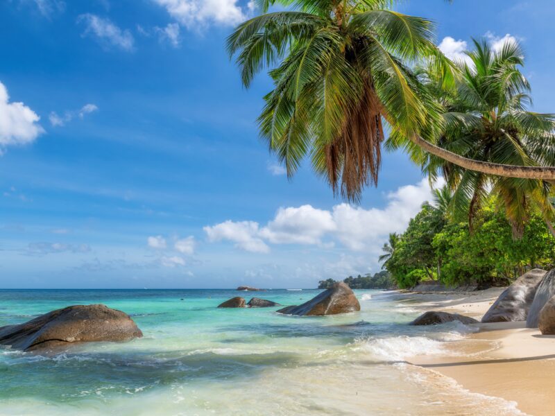Paradise,Sunny,Beach,With,Coco,Palms,And,Turquois,Sea,In