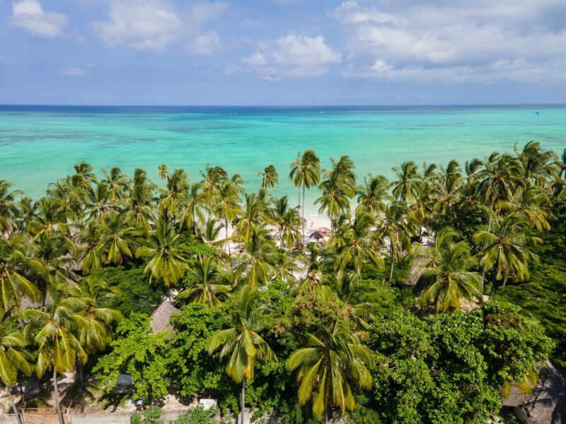 Aerial,View,Of,A,Beautiful,Tropical,Beach,Resort,In,Zanzibar,