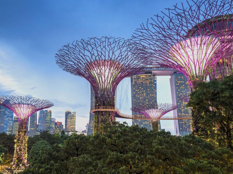 Gardens,By,The,Bay,Is,A,Network,Of,Modern,Greenhouses