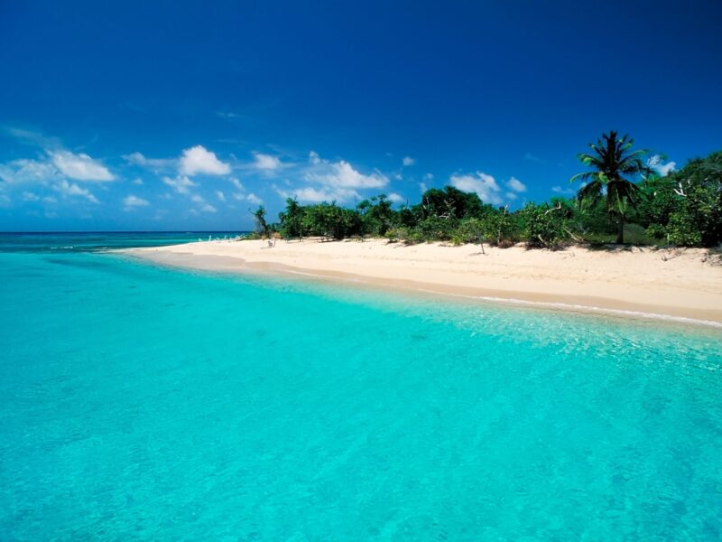 Caribbean,-,Us,Virgin,Islands,-,St.john,Island,-,Buck
