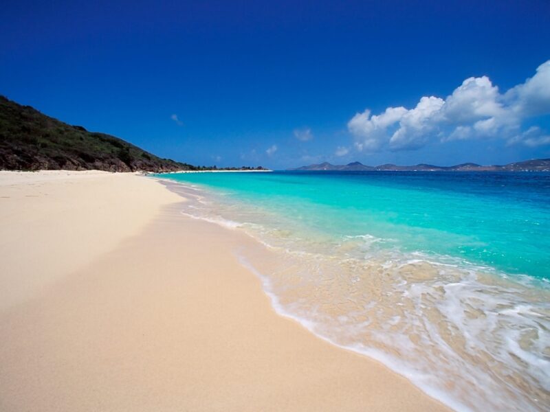 Caribbean,-,Us,Virgin,Islands,-,St.john,Island,-,Buck